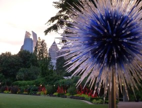 日照花卉市场与吴昌硕花卉条幅的魅力之旅日照 花卉市场